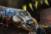 Dinosaurier im Reich der Giganten © Patrick Murphy